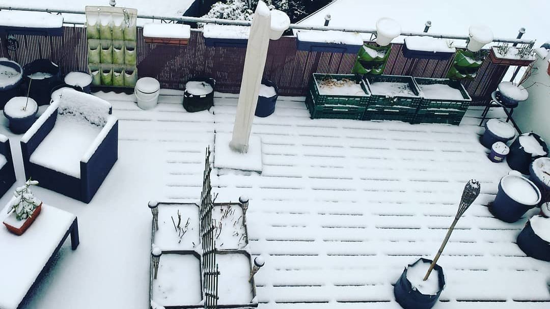 Wintergemüse vom Balkon
