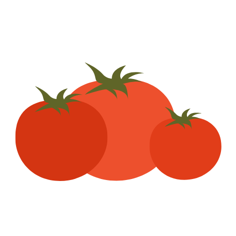 Busch-Tomate Balkon Bogus fruchta Jungpflanze kaufen