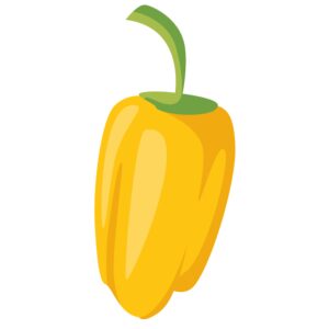 Gelbe Snackpaprika Jungpflanze kaufen bestellen