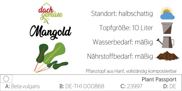 Mangold bunt Wintergemüse Pflanzen bestellen kaufen