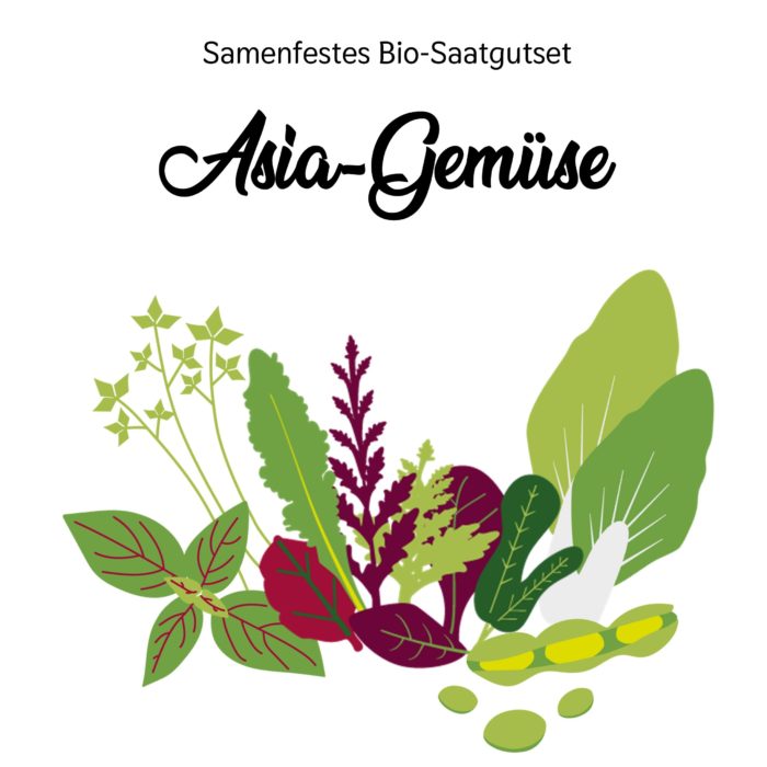 Asia-Gemüse-Bio-Saatgut-Set